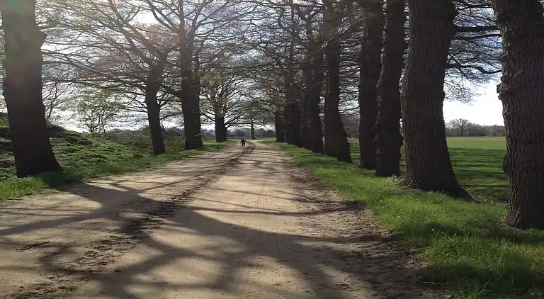 Holiday home in Aalten