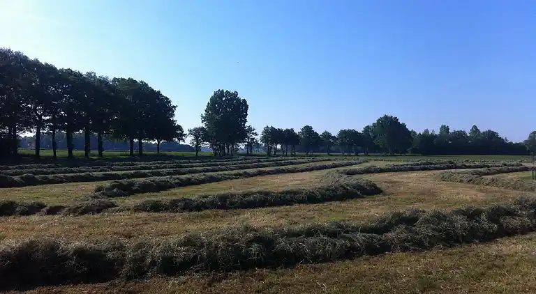 Holiday home in Aalten