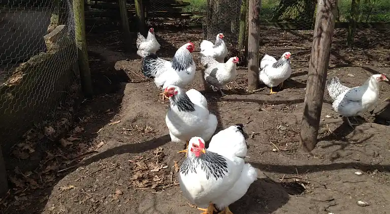 Holiday home in Aalten