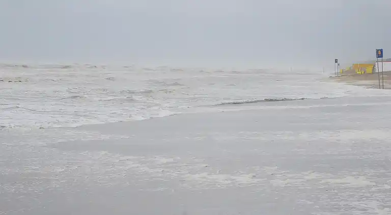 Apartment in Noordwijk aan Zee