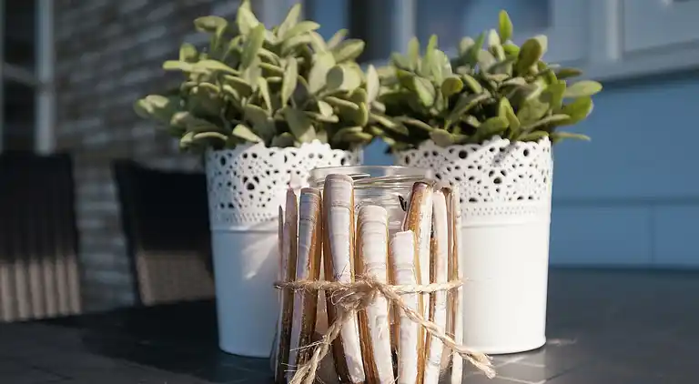 Semesterbostad i South Holland