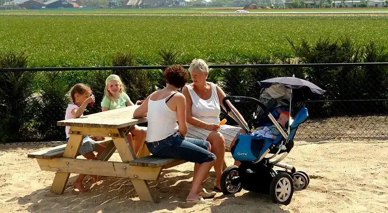 Chalet in South Holland