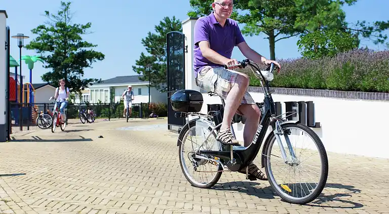 Chalet in South Holland