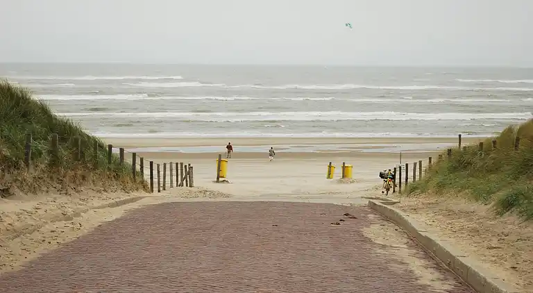 Cottage in South Holland