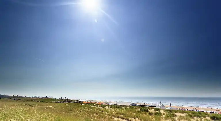 Cottage in South Holland