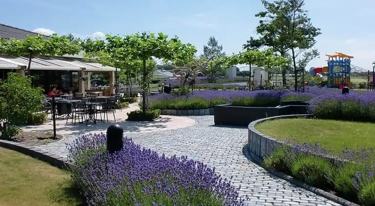 Cottage in South Holland