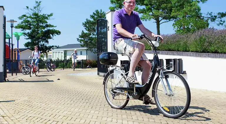 Cottage in South Holland