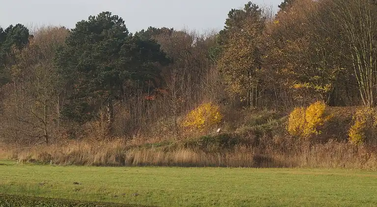 Holiday home in South Holland