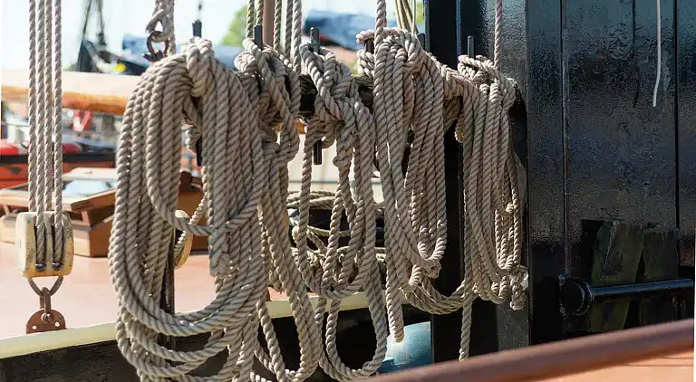 Holiday home in Leiden