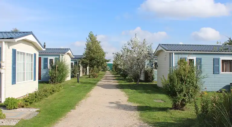 Cottage in 's-Gravenzande