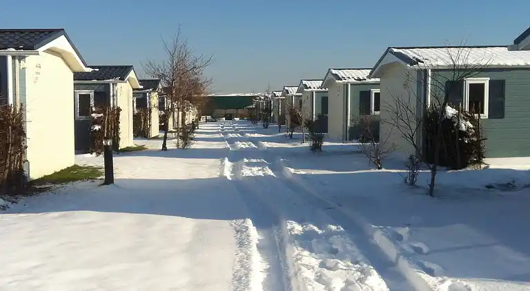 Cottage in 's-Gravenzande