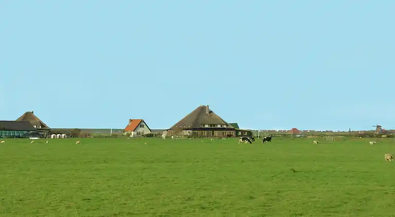 Apartment in Schoorl