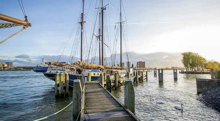Holiday home in Rotterdam