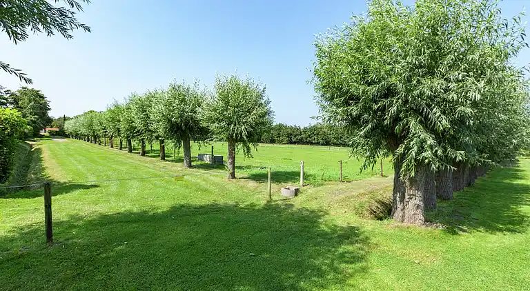 Sommerhus i Burgh-Haamstede