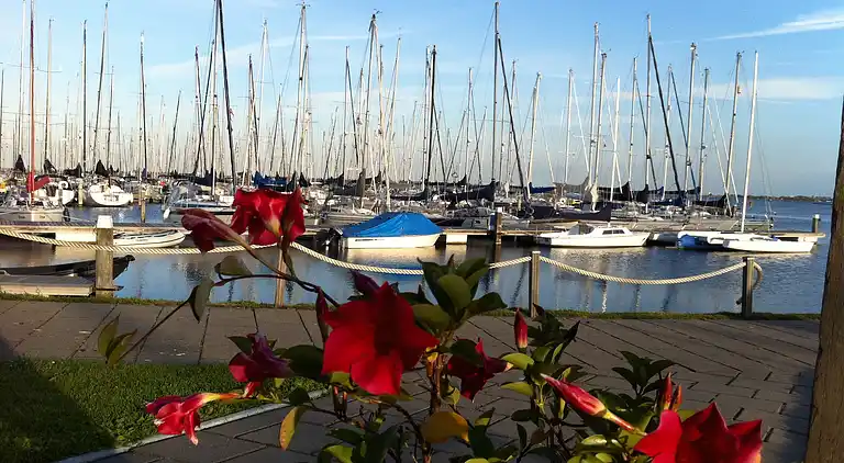 Holiday home in Herkingen