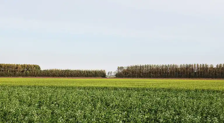 Holiday home in Herkingen