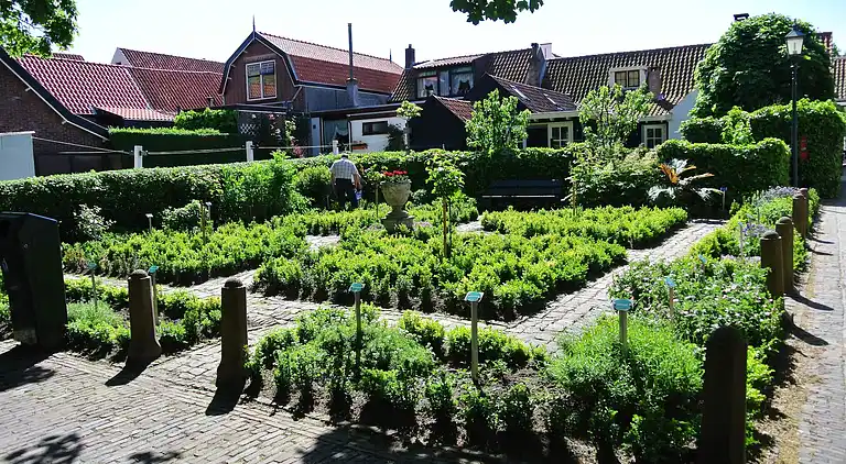 Cottage in Goedereede