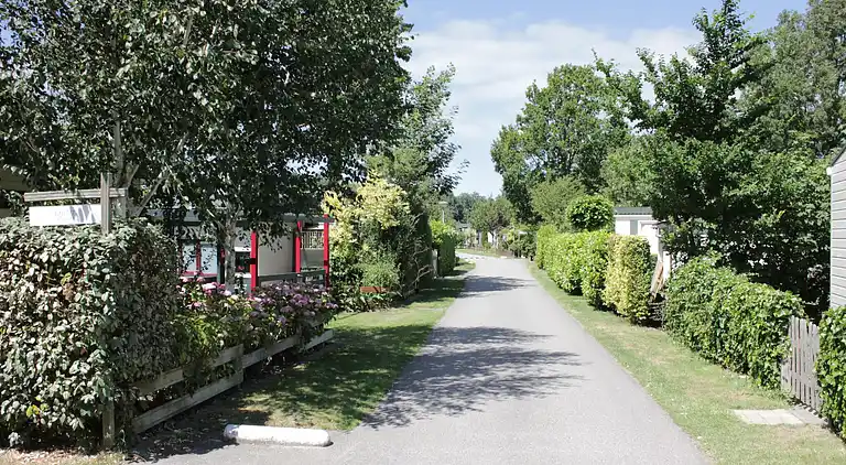 Cottage in Goedereede