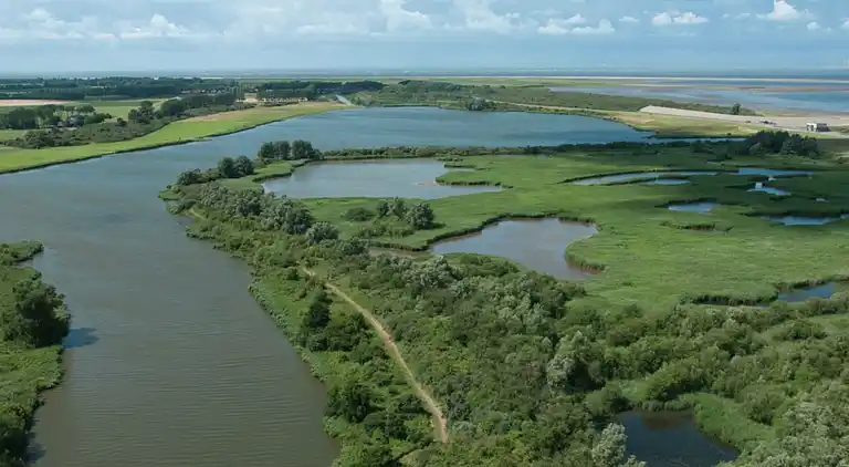 Villa in South Holland