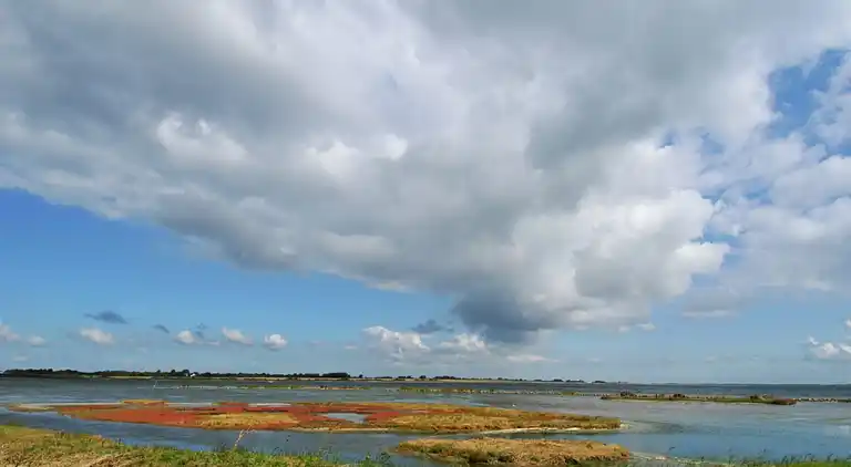 Villa i South Holland