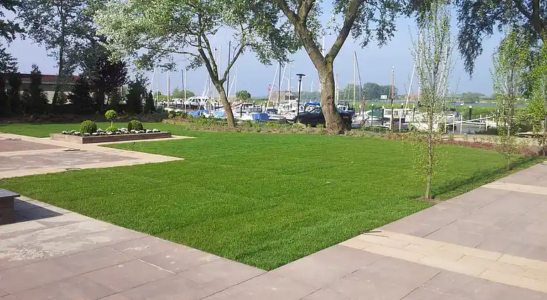 Hytte i Dordtse Biesbosch