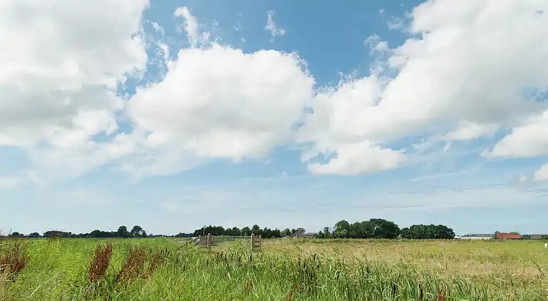 Holiday home in 't Zand