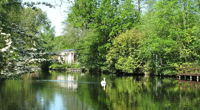 Cottage in Woerdense Verlaat
