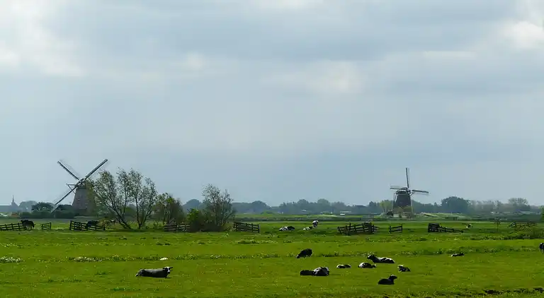 Cottage in Woerdense Verlaat