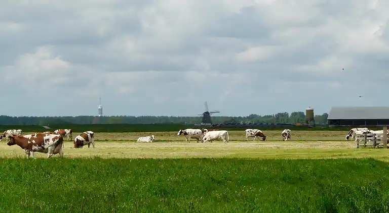 Cottage in Woerdense Verlaat