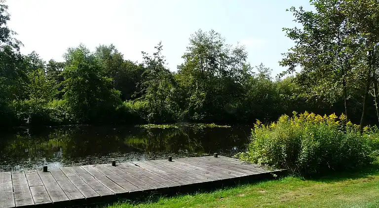 Cottage in Woerdense Verlaat