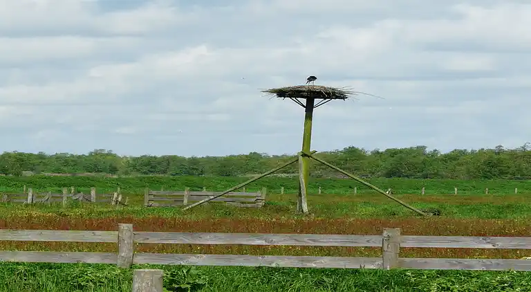 Cottage in Woerdense Verlaat