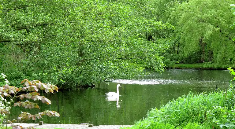 Cottage in Woerdense Verlaat