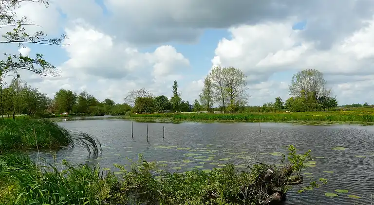 Cottage in Woerdense Verlaat