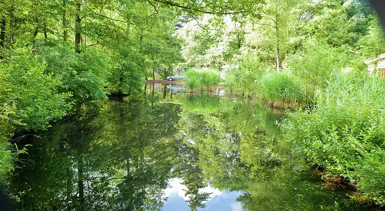 Bungalow in Kootwijk
