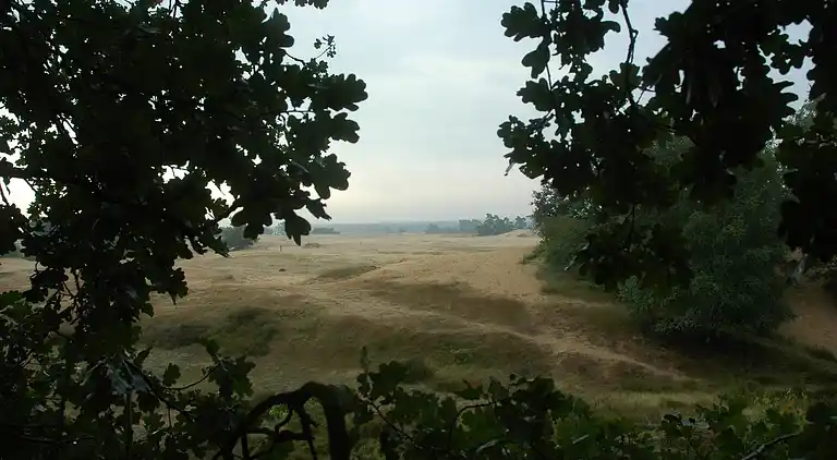 Cottage in Voorthuizen