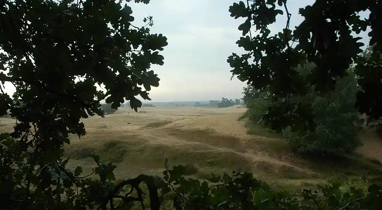 Cottage in Voorthuizen