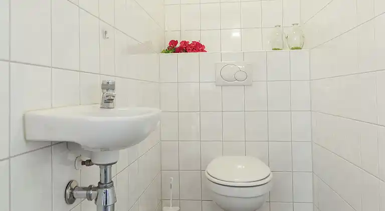 Farm house in Kamperland