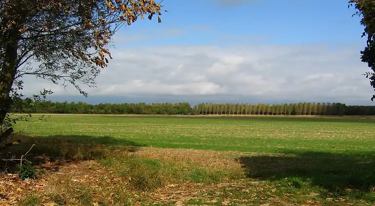 Farm house in Kamperland