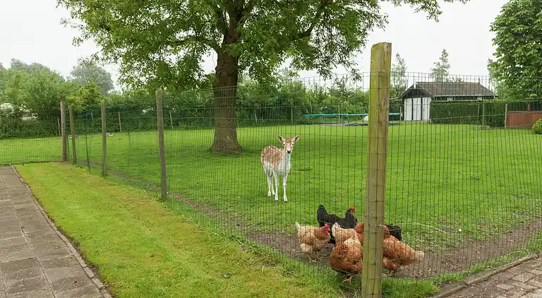 Farm house in Kamperland