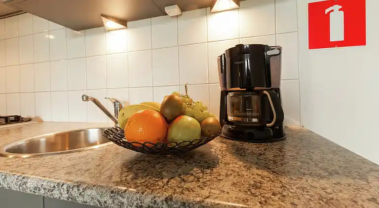 Farm house in Kamperland