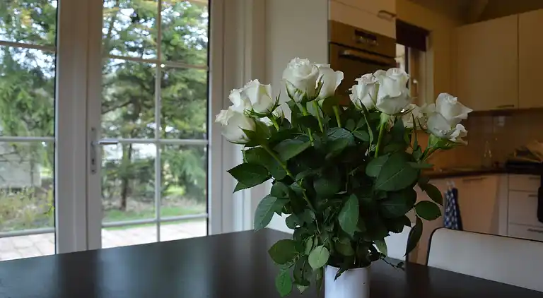 Semesterbostad i Putten