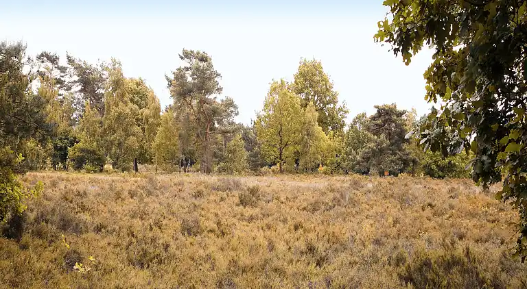 Semesterbostad i Putten