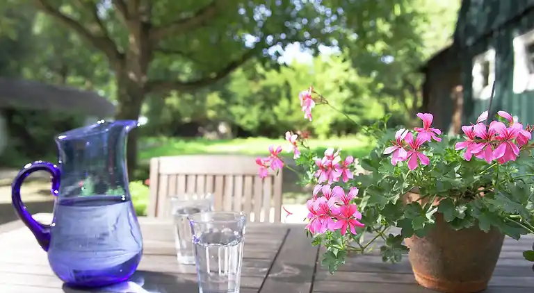Farm house in Driebergen-Rijsenburg