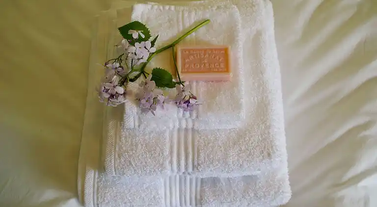 Farm house in Zoelen