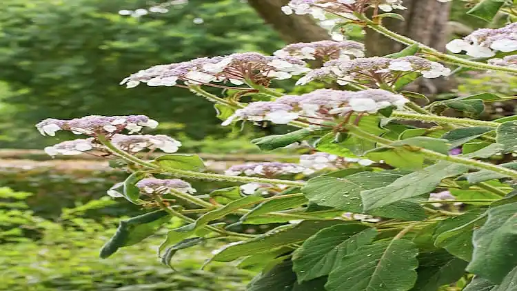 Farm house in Zoelen