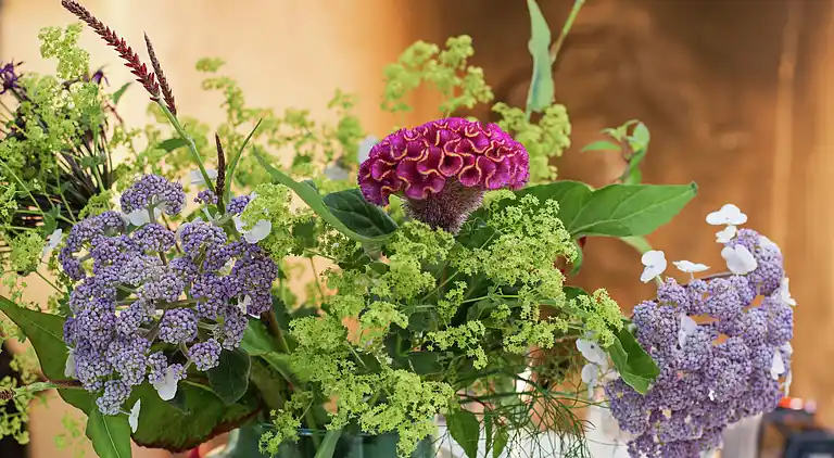 Farm house in Zoelen