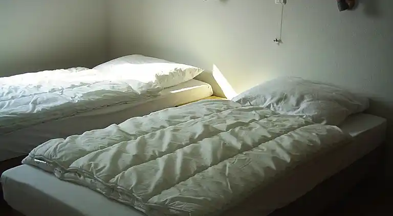 Holiday home in Kesteren