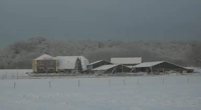 Holiday home in Kesteren