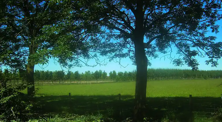 Holiday home in Kesteren