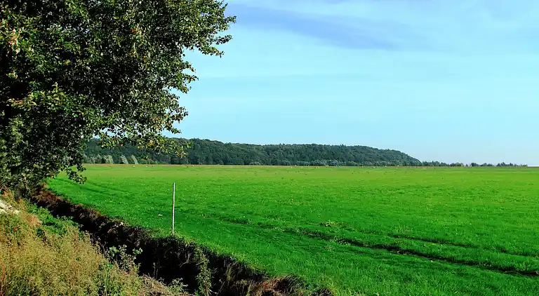 Holiday home in Kesteren